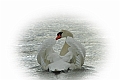 15 03 00_0775_edited-2